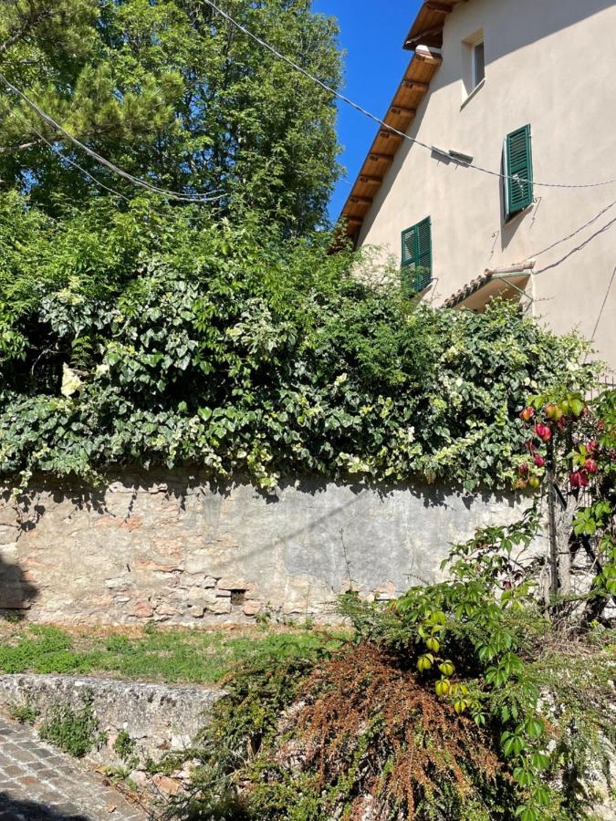 Piè del Colle Country - Ferienwohnung Trebbio