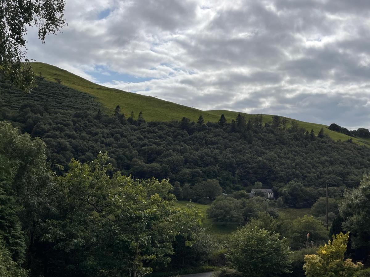 Forest View Annexe - B&B Ponterwyd