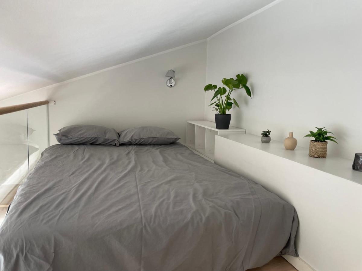 Appartement 1 Chambre