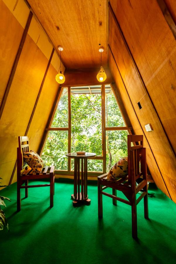 Ella Radiant Wood - B&B