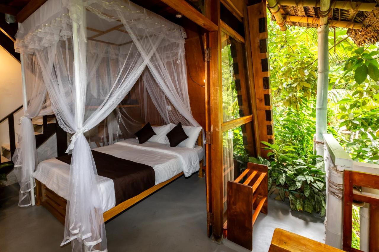 Ella Radiant Wood - Bed and Breakfast Ella Town