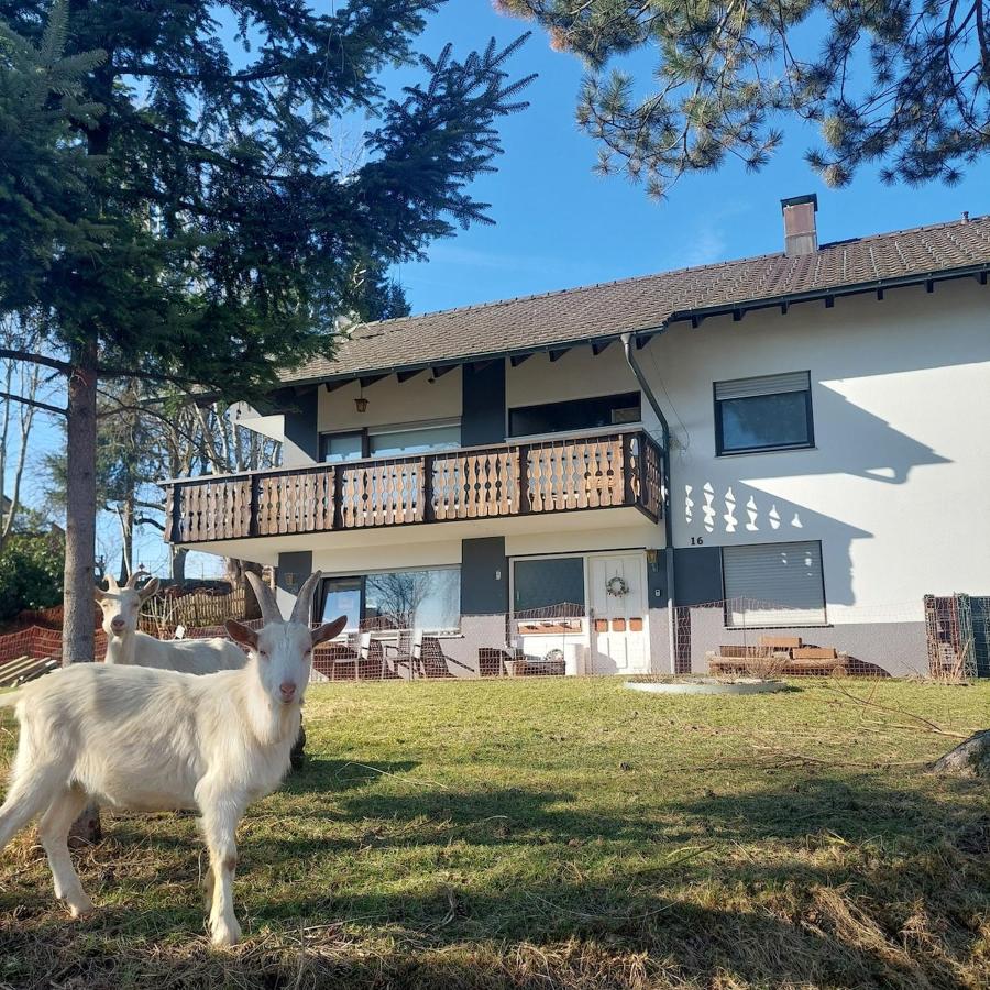 Charmantes Albbruck Rückzugsort - B&B