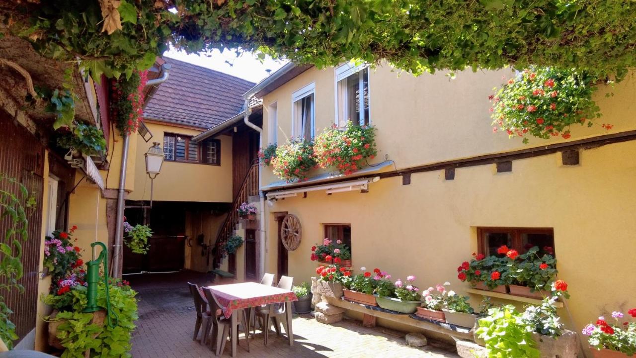 Gîte du Vignoble - B&B Beblenheim