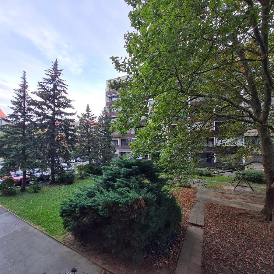 Apartment - Ferienwohnung Größing