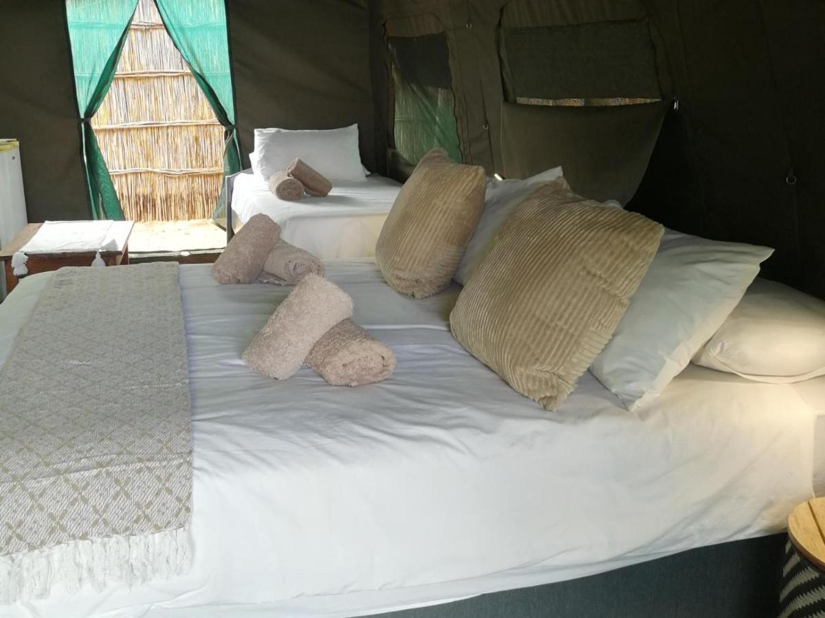 Tenda standard