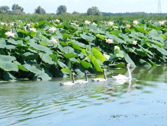 Casa del Pescatore - B&B Grazie