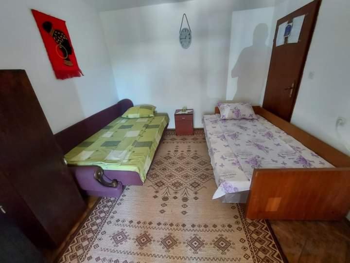 Vila Svemir - B&B Bor