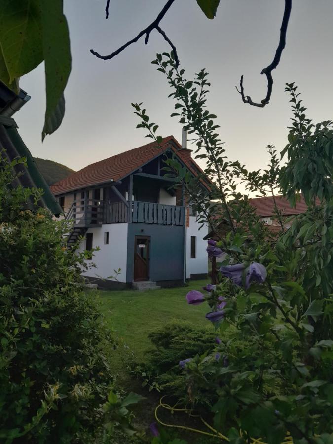 Apartamente Ambrus Praid - B&B Praid
