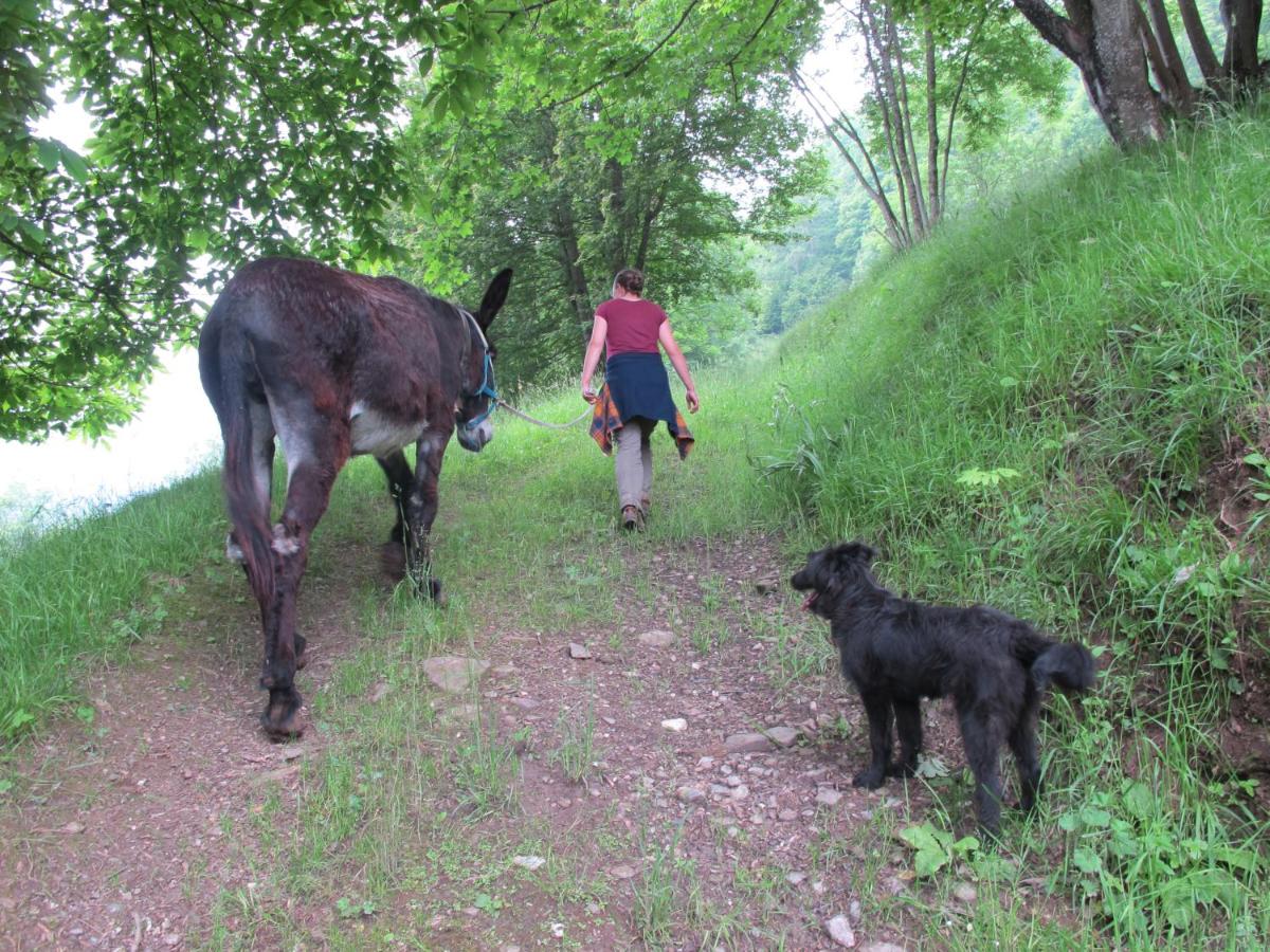 Meiro di Choco - Bed and Breakfast Pradleves