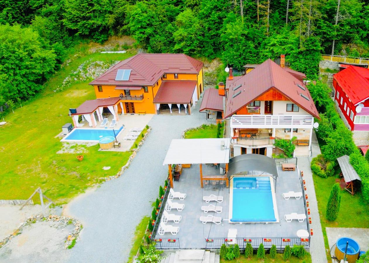 Casa de Vis Băișoara -Cab Mircea -Cab Gaby - Ferienwohnung Băişoara