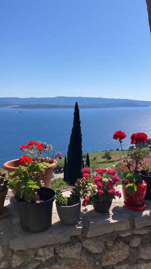 Blue Dream - B&B