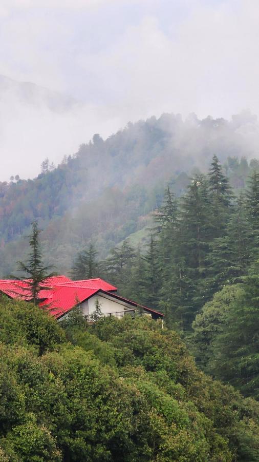 Pahadi Zayka Homestay - B&B Chail
