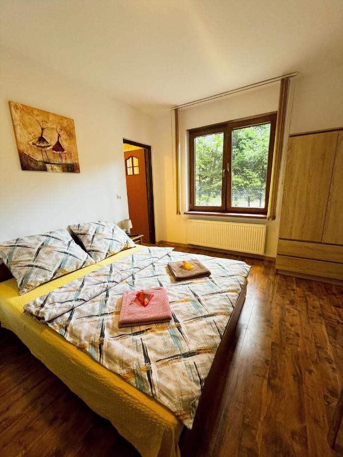 Room #1296865607
