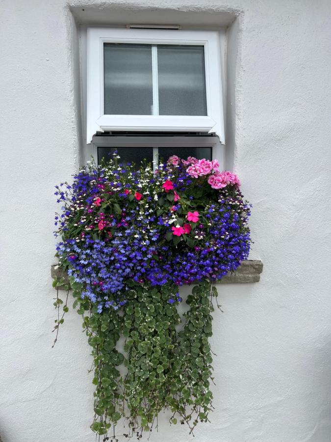 The Cottage at Ashbrook - Charming Country Cottage near Belfast - B&B