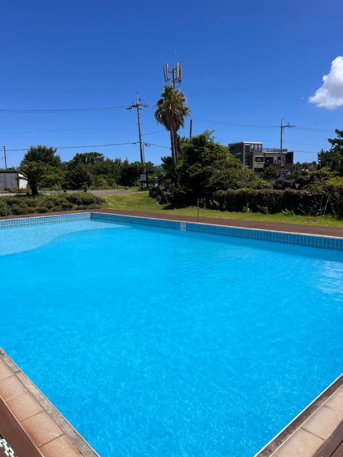 White Dream Pension - B&B Jeju