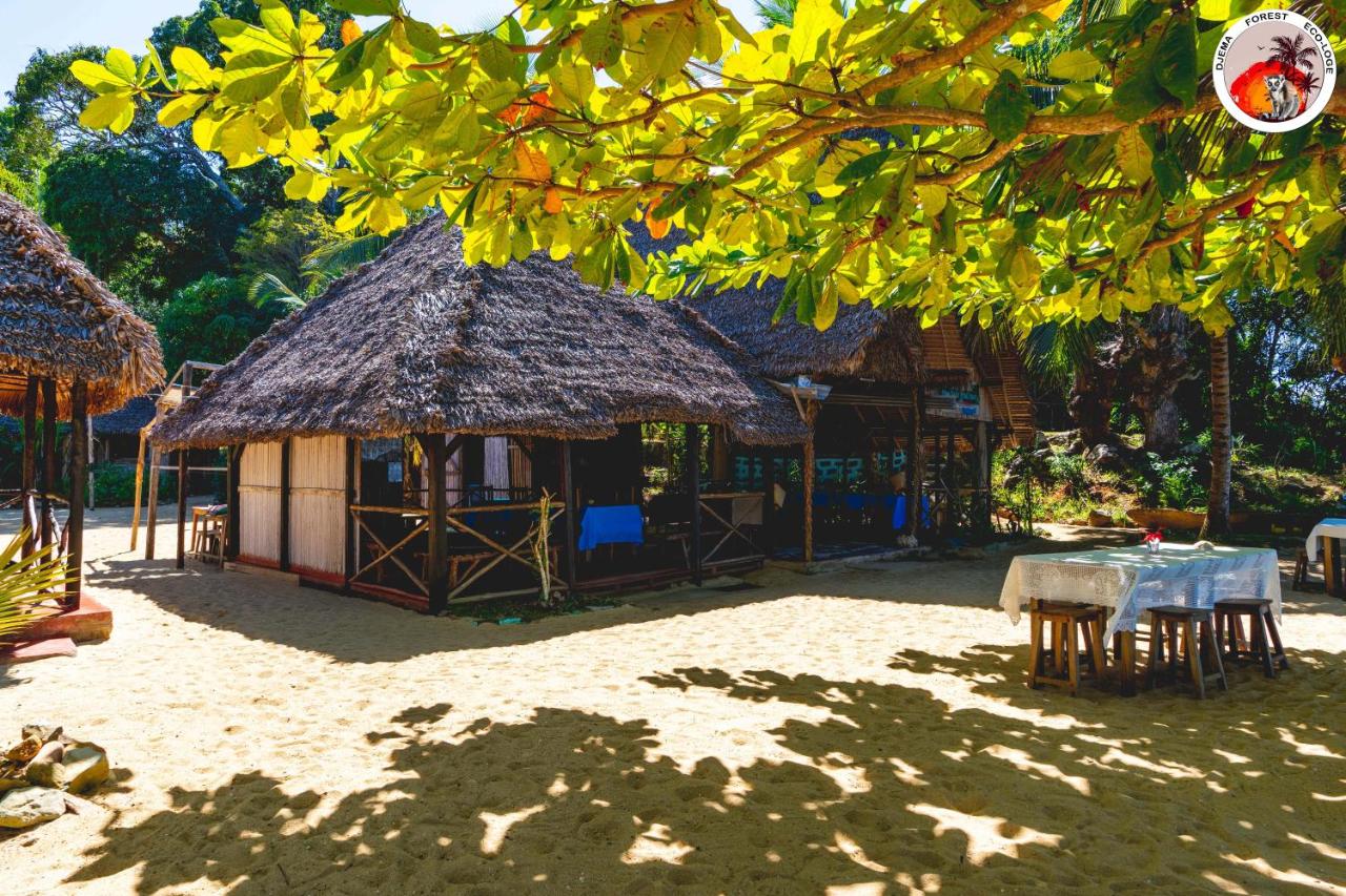 Djema Forest - B&B Nosy-Be