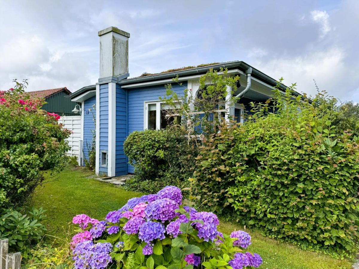 Blaue Pause - Offline-Häuschen mit Garten und Kamin - B&B