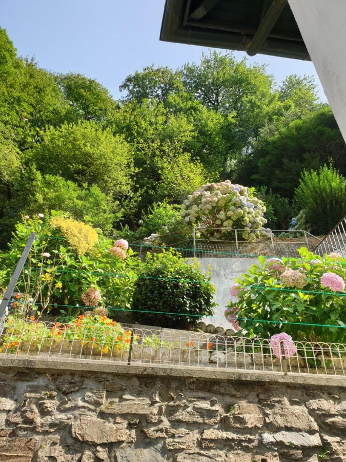 Gîte Arnéguy Pays Basque - B&B Arnegi