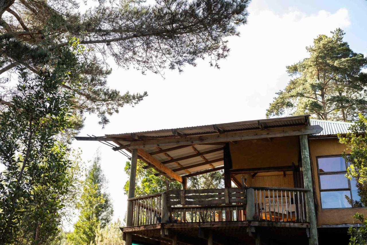 Apartamento de 2 dormitorios