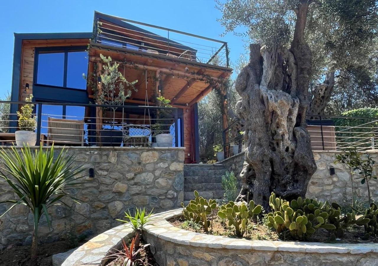 Villa Tramonto D'Oro - B&B Ulcinj
