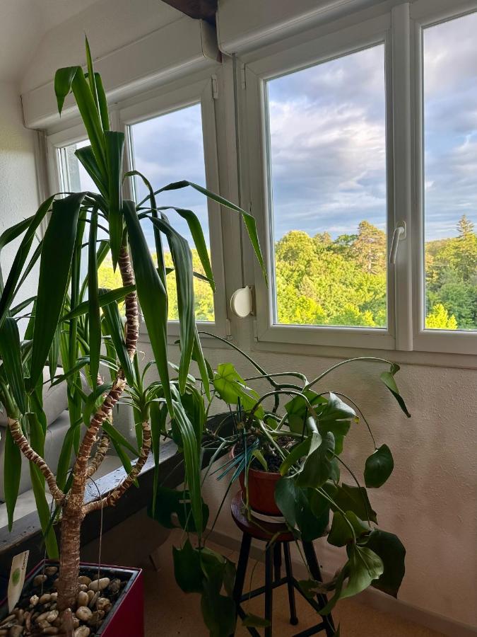 Loft vintage - spacieux 155 m2 - 4 chambres - Parking, Netflix, Wifi Fibre - Chambres d'hôtes Mulhouse