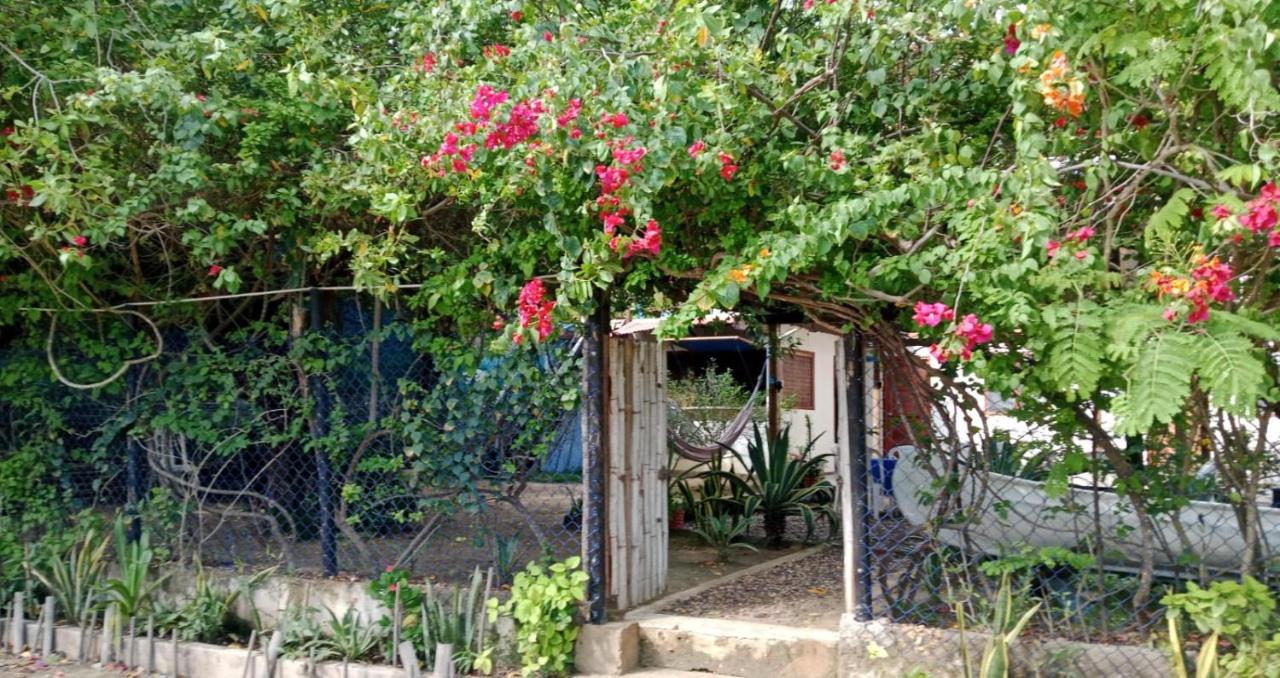 Hostal El Nido del Azulejo - B&B