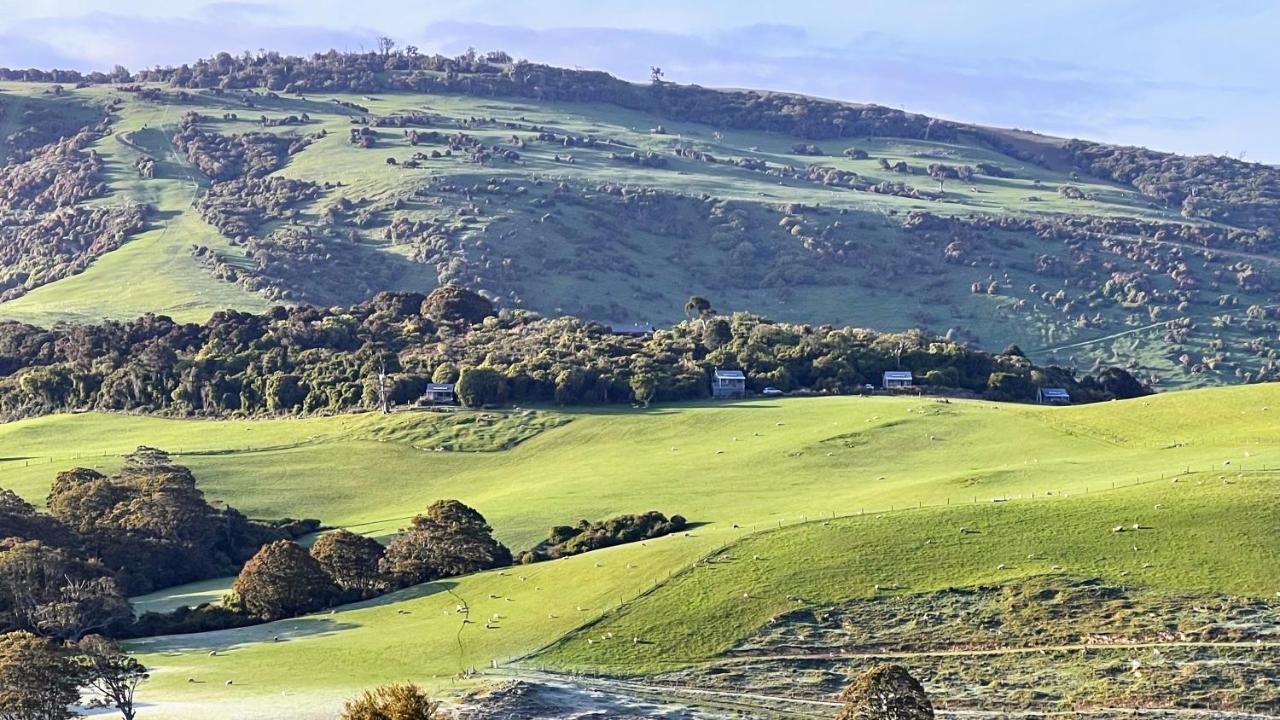 Mohua Park - Catlins Eco Accommodation - B&B