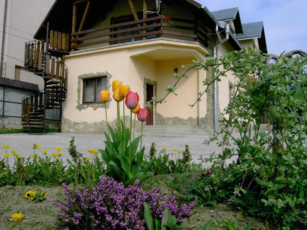 Pension Anastasia - B&B Gura Humorului