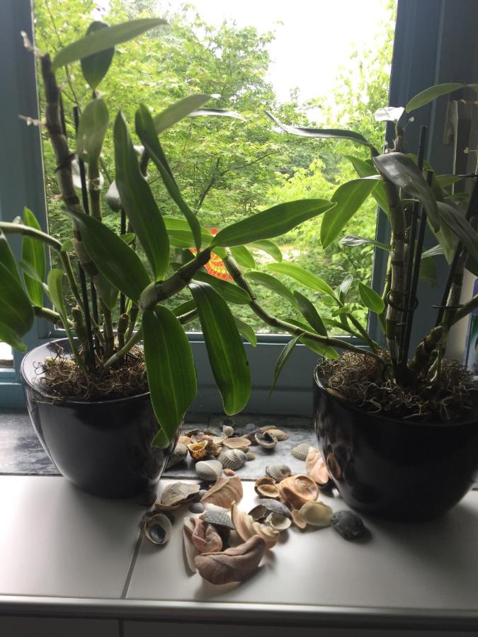 Camera Doppia con Letti Singoli con Bagno