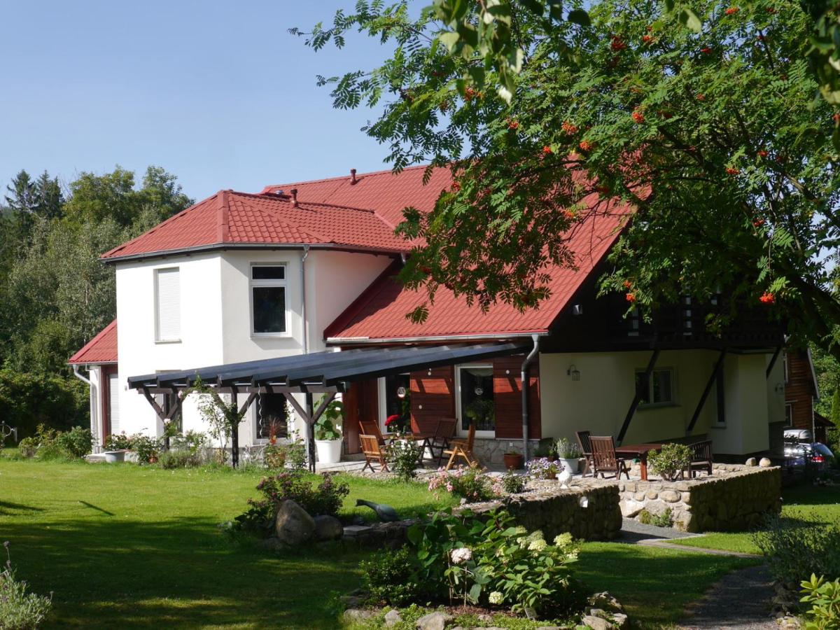 Dworek dla alergikow "U Szkota"