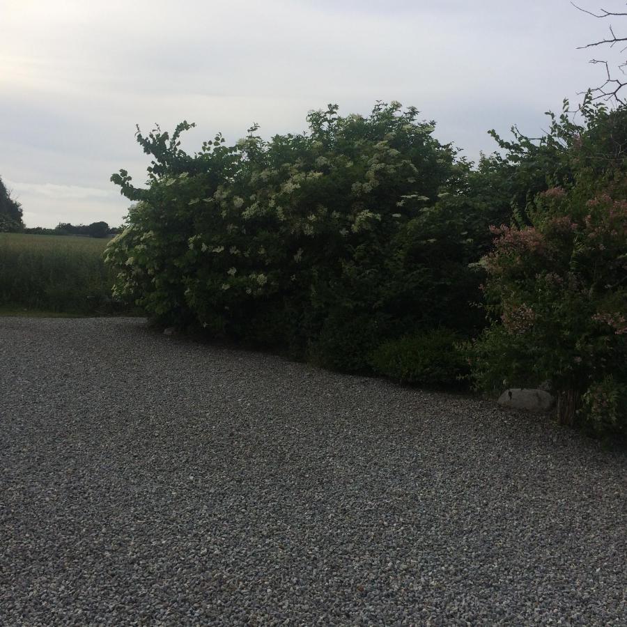 Thorupgaard Farm Holiday - Ferienwohnung