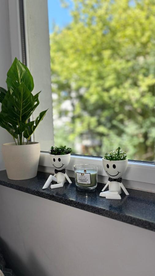 Klein und feines City Apartment - B&B