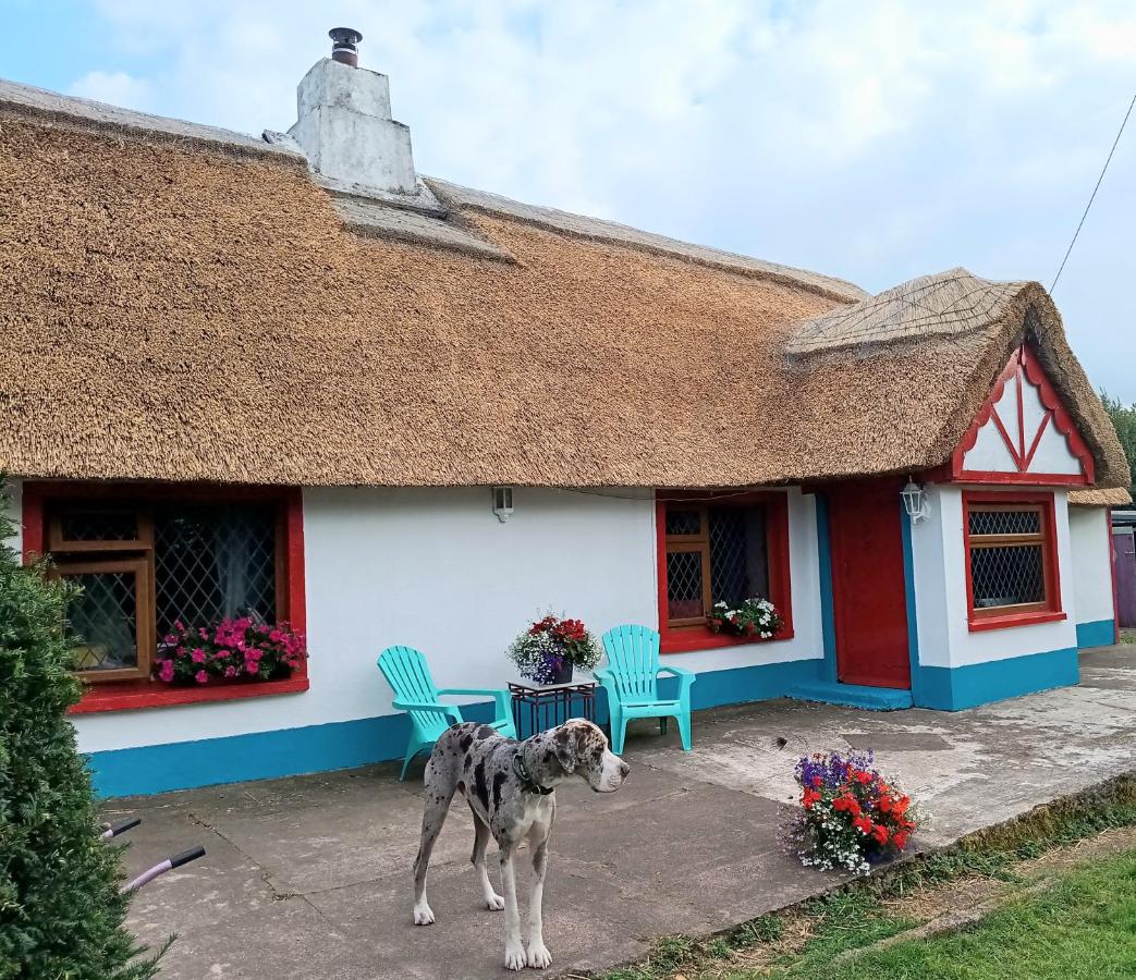 Aisling Cottage - B&B