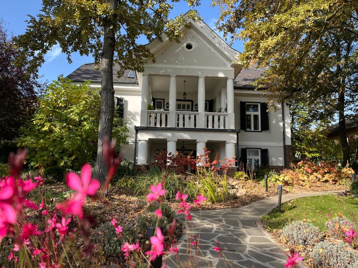 Villa Chez les Amis - Adults only - B&B