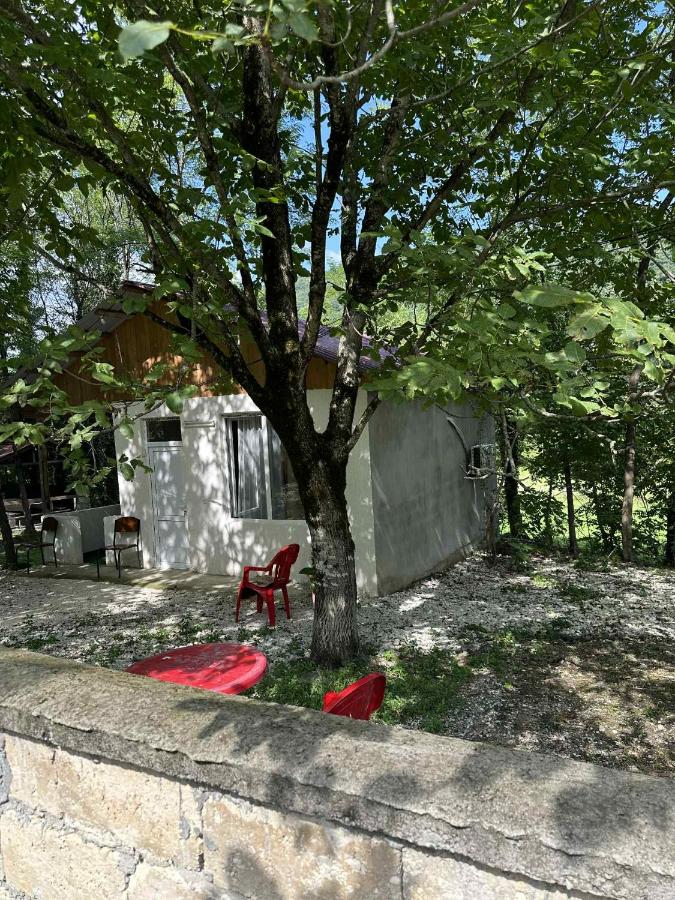 Martvili Canyon Cottage in the Forest - B&B Martvili