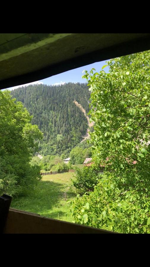 რაჭა-შოვი - Bed and Breakfast Oni