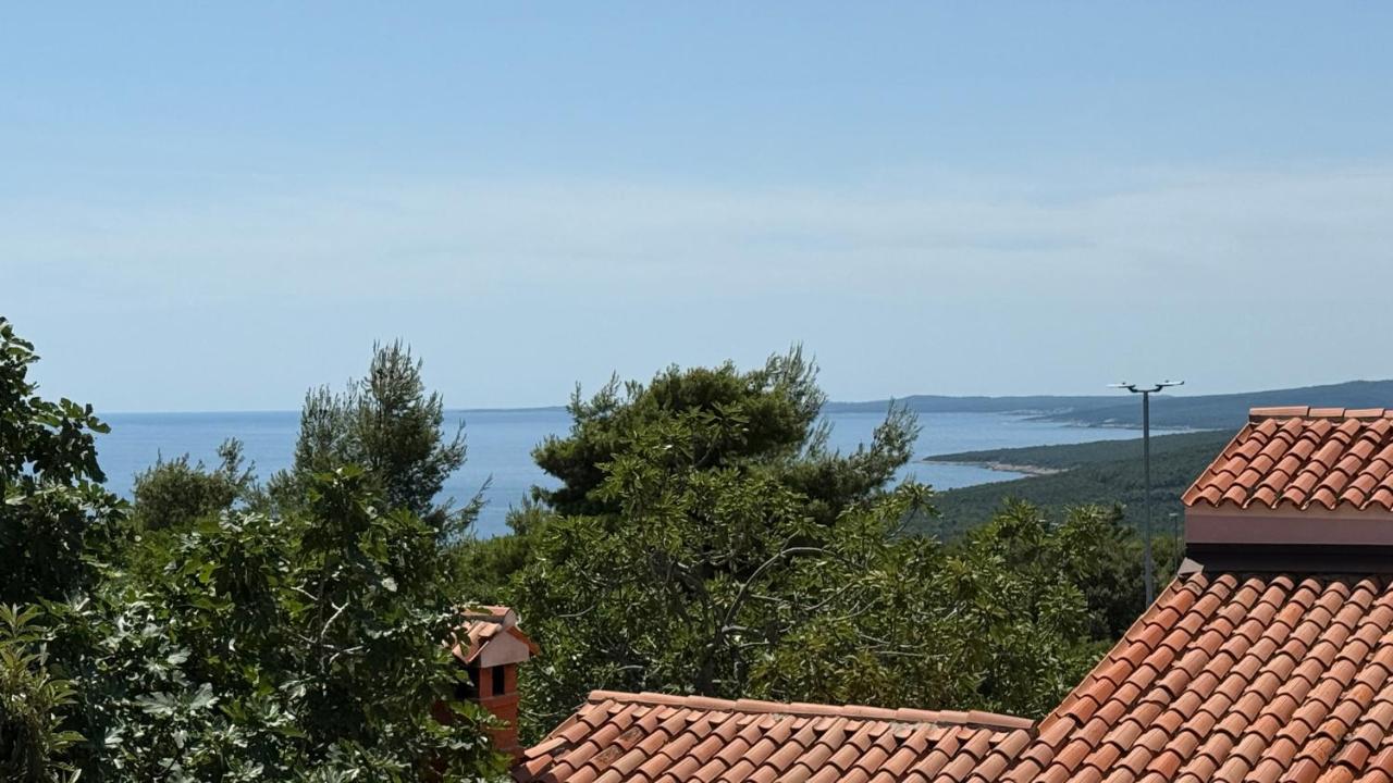 Apartment Burin - Ferienwohnung Viskovići