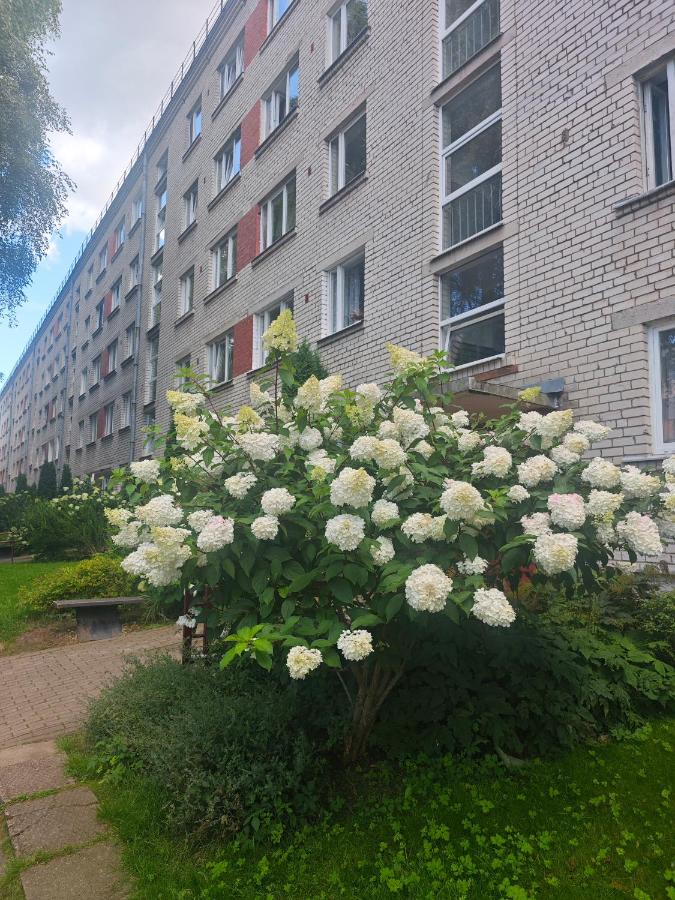 Atpūta pie Zilajiem kalniem - B&B Ogre