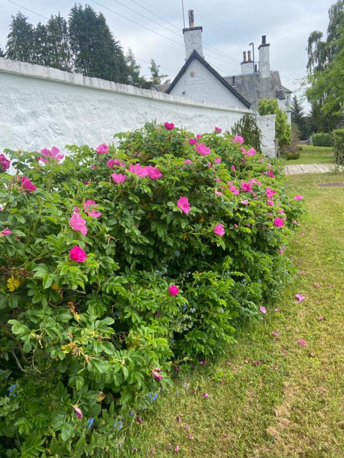 Fordie South Cottage - B&B Comrie