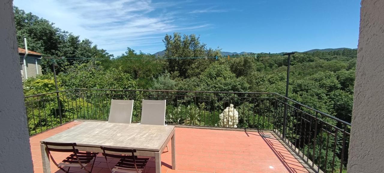 Maison Calme Lavande et coquelicots - B&B St. Jean-Pla-de-Corts