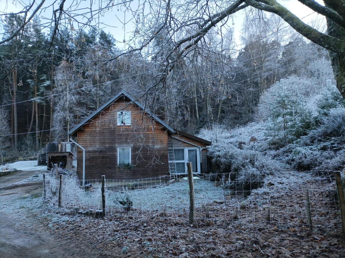 Chemin de résilience, séjours détente et nature - B&B