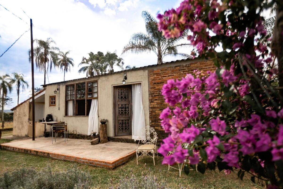 Fazenda do Holandes - B&B Itirapina