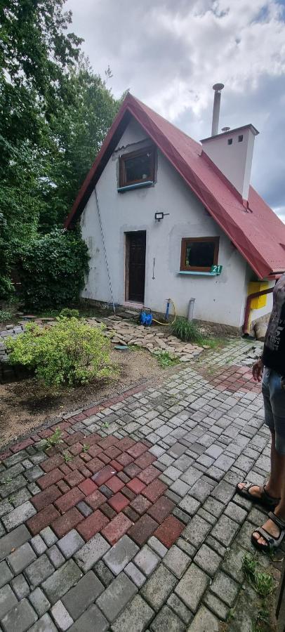 dziupla - B&B Górki Wielkie