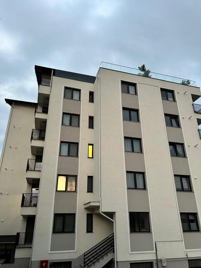 AccentBlack - Bed and Breakfast Gura Humorului