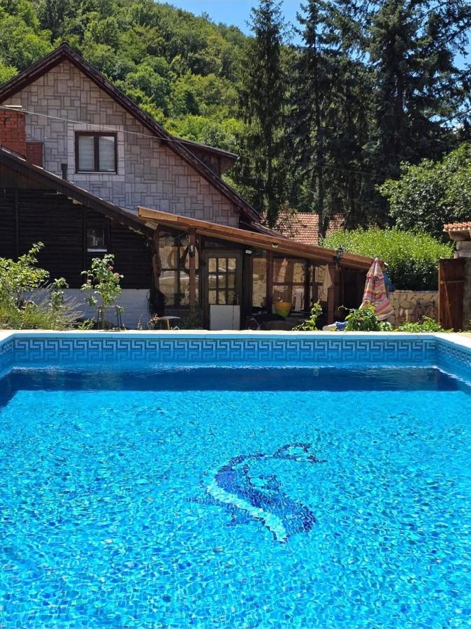 Vila "Mali RAJ" - Bed and Breakfast Užice