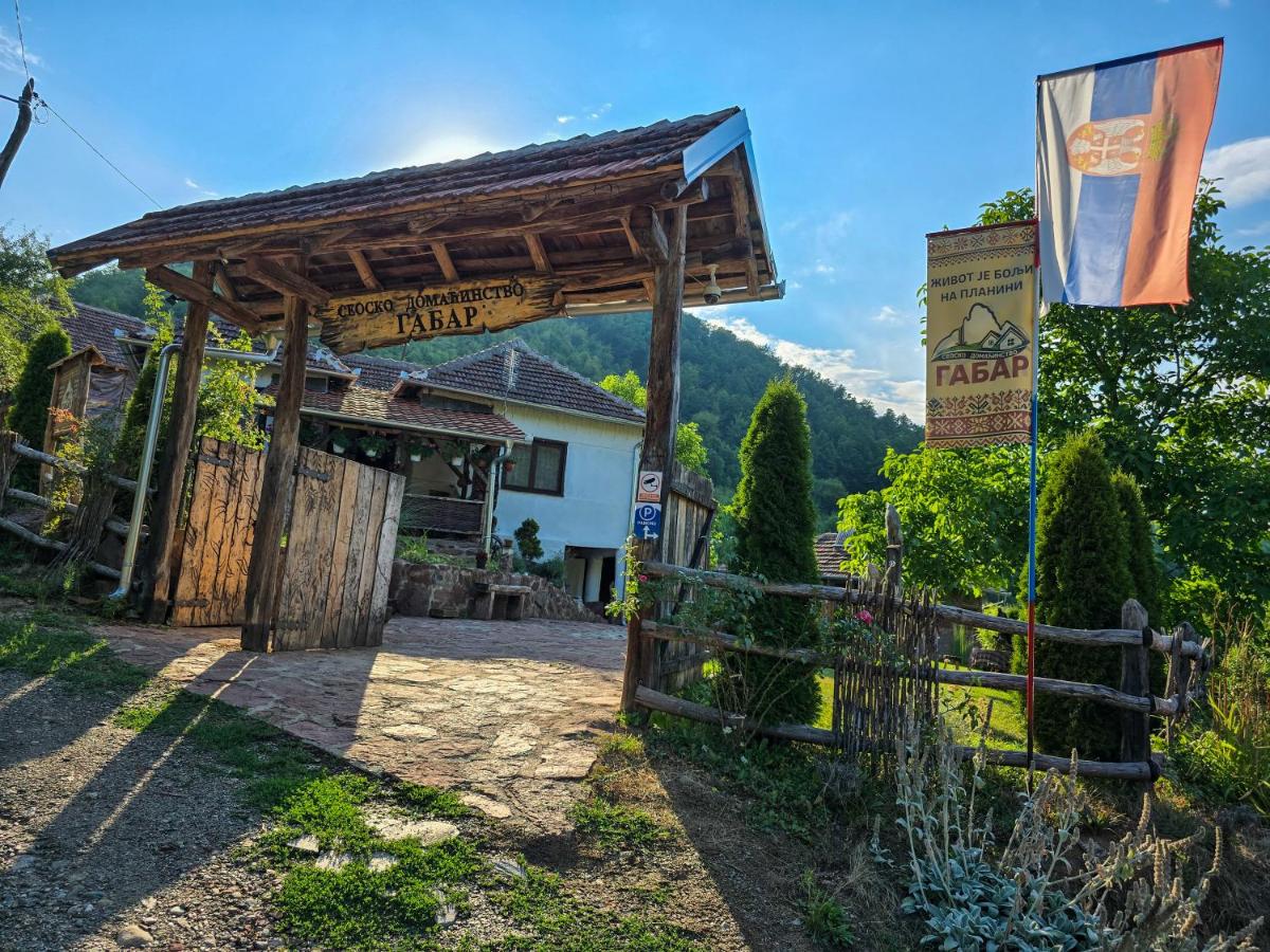 Seosko domaćinstvo „GABAR” - Chambres d’hôtes Ćuštica
