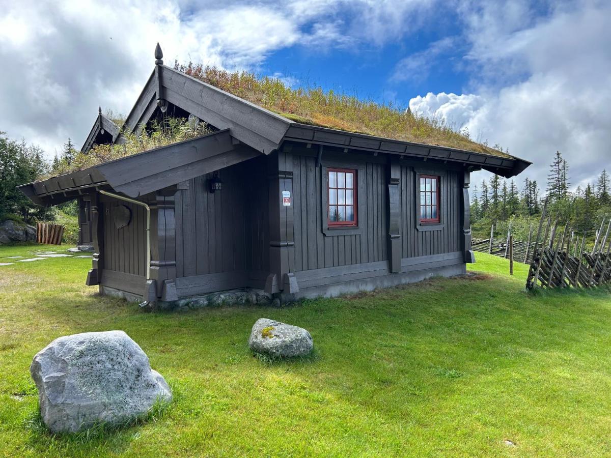 Sleepover in the mountains - B&B Hjartdal