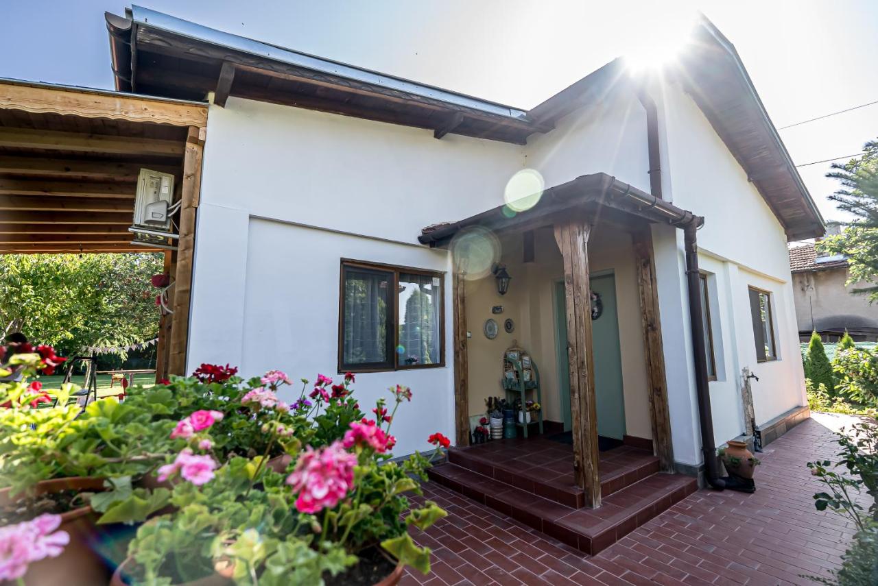 Къща за гости ЗЕЛЕНА - Ferienwohnung Vinogradets
