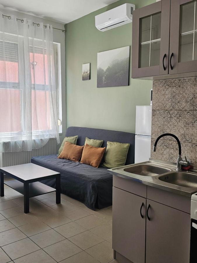 Apartment mit 1 Schlafzimmer