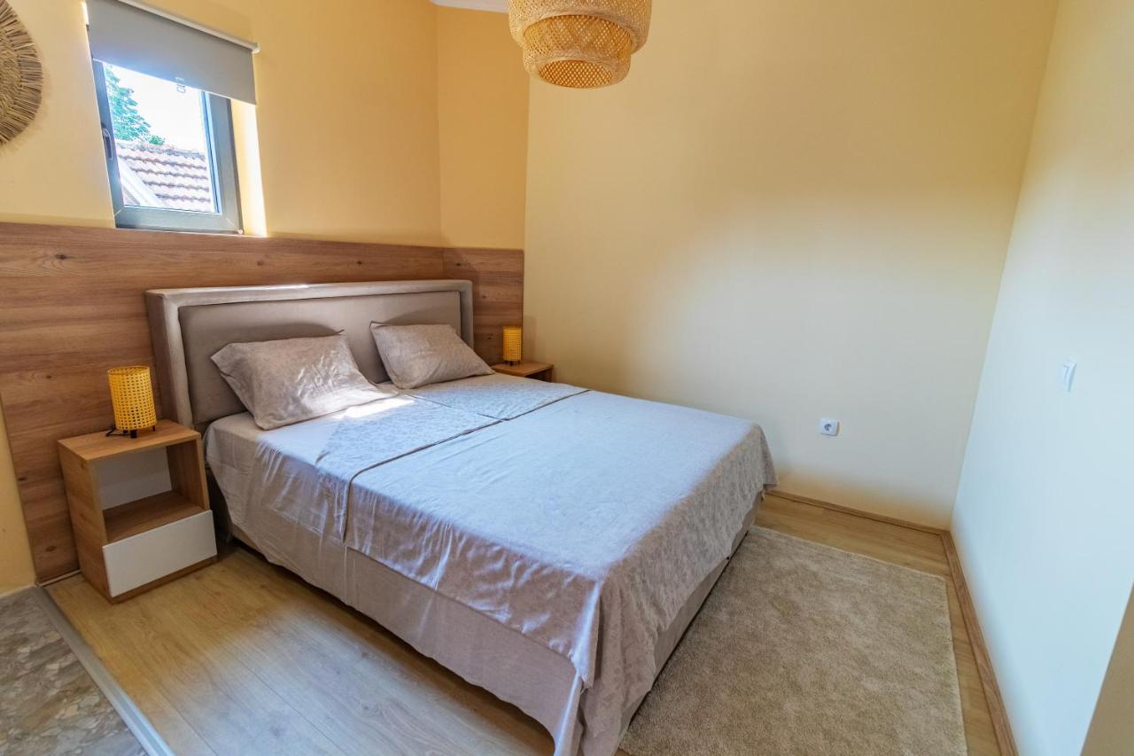 Suite Appartement